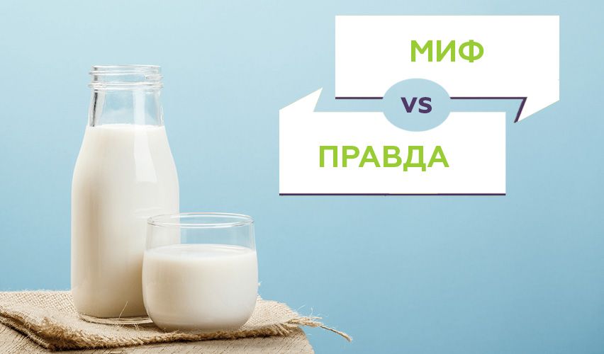 Топ-5 мифов о производстве молока