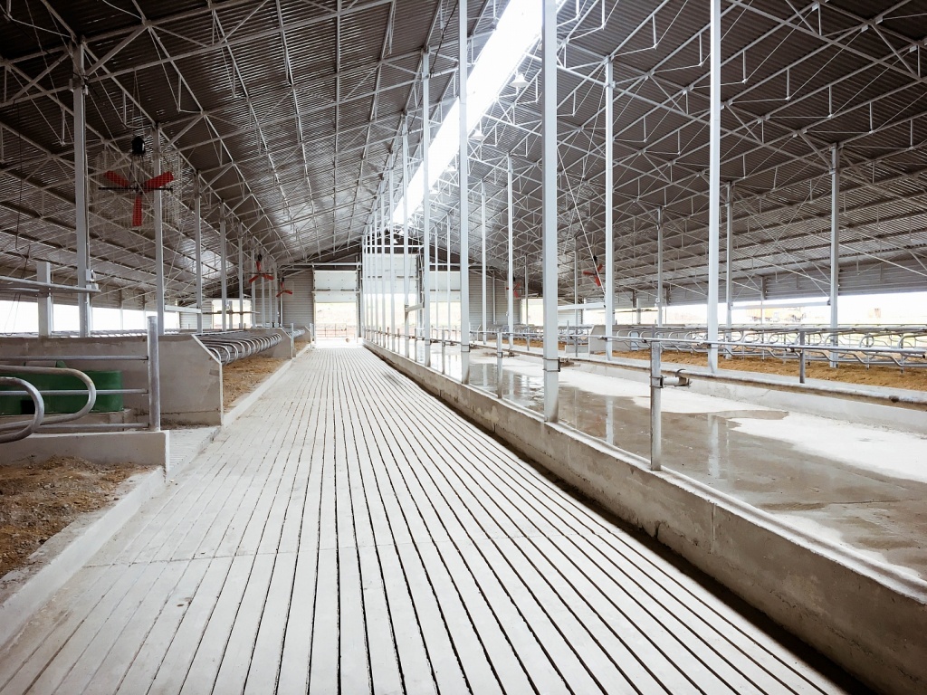 Accelerated ventilation on dairy farm
