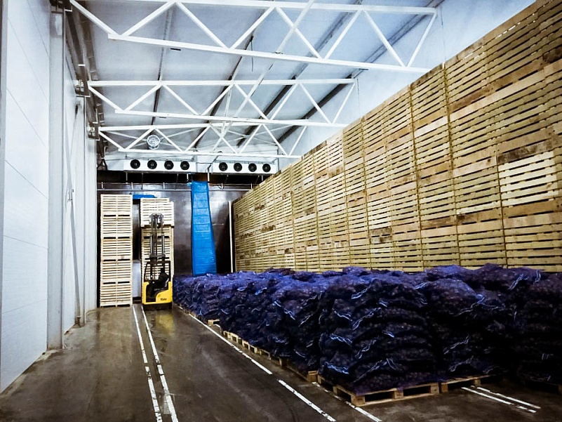 Вентиляция картофелехранилища на 10000 тонн контейнерным типом в Тульской области