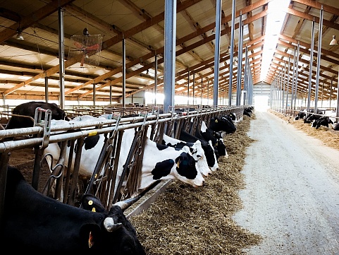 Livestock housing ventilation technologies 
