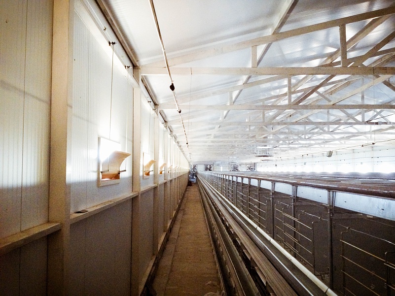 Система вентиляции для птицефабрики в Чеченской Республике